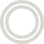 plasmid