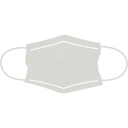 surgical mask icon