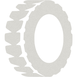 tire icon