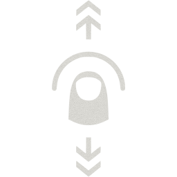 vertical flick icon