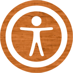 accessibility 2 icon