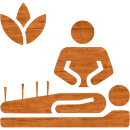 alternative medicine icon