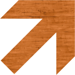arrow 304 icon