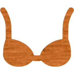 bra icon