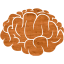 brain 2
