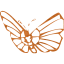 butterfly 2