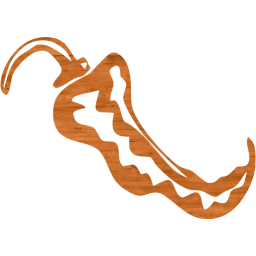 chili pepper 4 icon