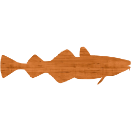 fish 4 icon