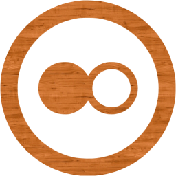 flickr 5 icon