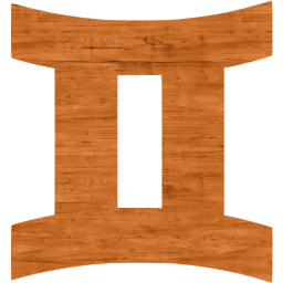 gemini icon