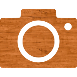 google images icon