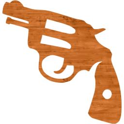 gun 2 icon