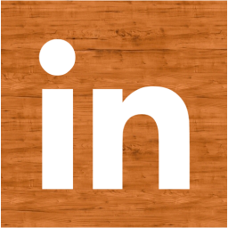 linkedin 2 icon