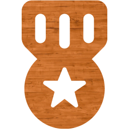 medal 3 icon