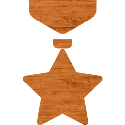 medal icon