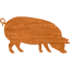 pig 4