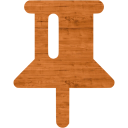 pin 2 icon