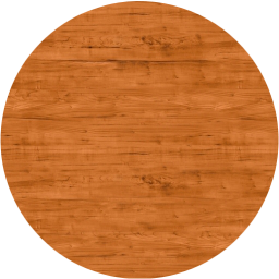record icon
