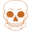 skull 55