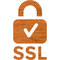 ssl badge 2 icon