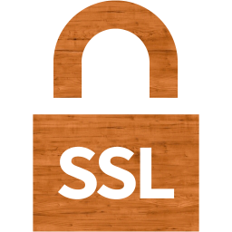 ssl badge 4 icon