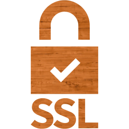 ssl badge 5 icon