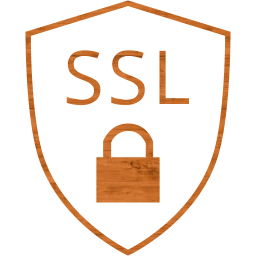 ssl badge icon