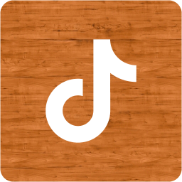 tiktok 2 icon