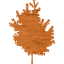 tree 25