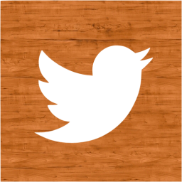 twitter 2 icon
