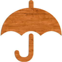 umbrella icon