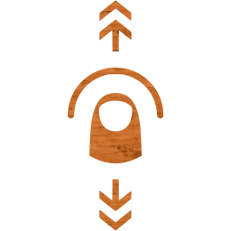 vertical flick icon