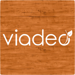 viadeo 4 icon