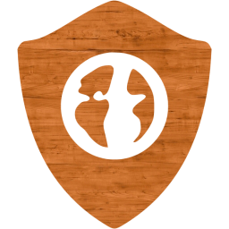 web shield icon