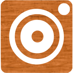 webcam 4 icon