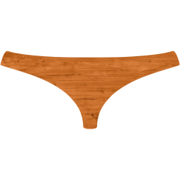 womens underwear icon
