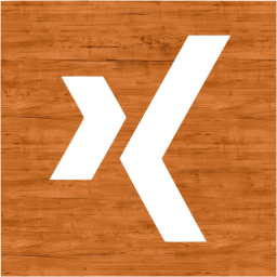 xing 2 icon