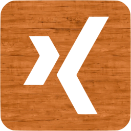 xing 3 icon