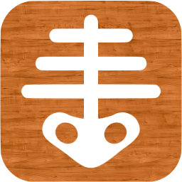 xray icon