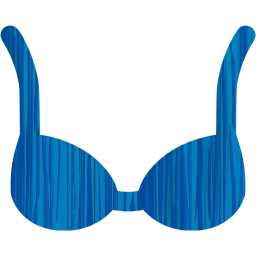 bra icon