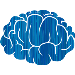 brain 2 icon