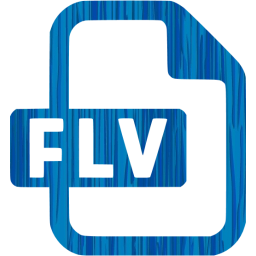 flv icon