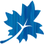 leaf 3