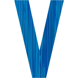 letter v icon