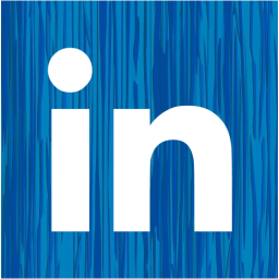 linkedin 2 icon