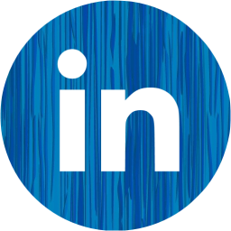 linkedin 4 icon