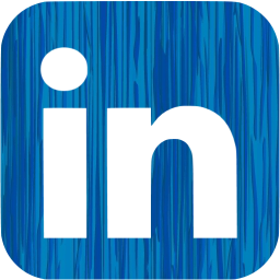 linkedin 6 icon