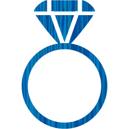 ring 2 icon