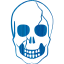 skull 37