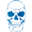 skull 41